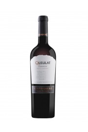 Ventisquero Carmenere Gran Reserva