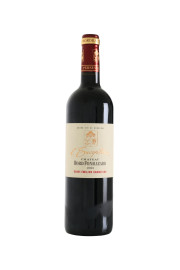 Château Bord Fonrazade L'Exception