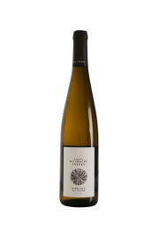 Domaine Mittnacht Frères Les Fossiles