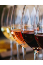 Atelier Dégustation