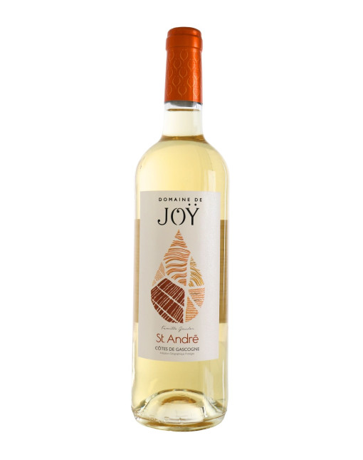 Domaine de Joy Saint André