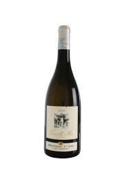Famille Masse Les Terroirs