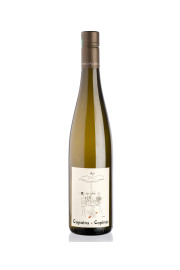 Domaine Mittnacht Frères Copains-Copines
