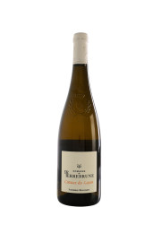 Domaine de Terrebrune