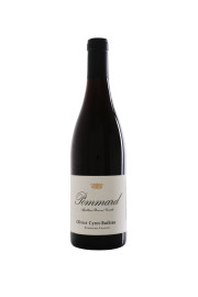 Domaine Cyrot Buthiau