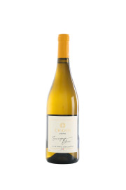 Pierre Chavin Sauvignon