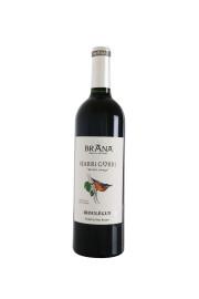 Etienne Brana Harri Gorri