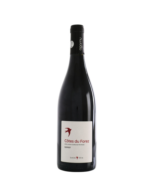 Louis Tête Hirondelle