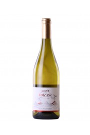 Cave De Saint Verny Cuvée Des Volcans Blanc