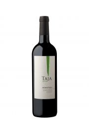 Taja Bodega Green Serie Rouge