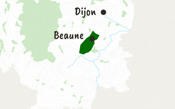 Côte de beaune et hautes côtes de beaune