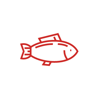 Poisson