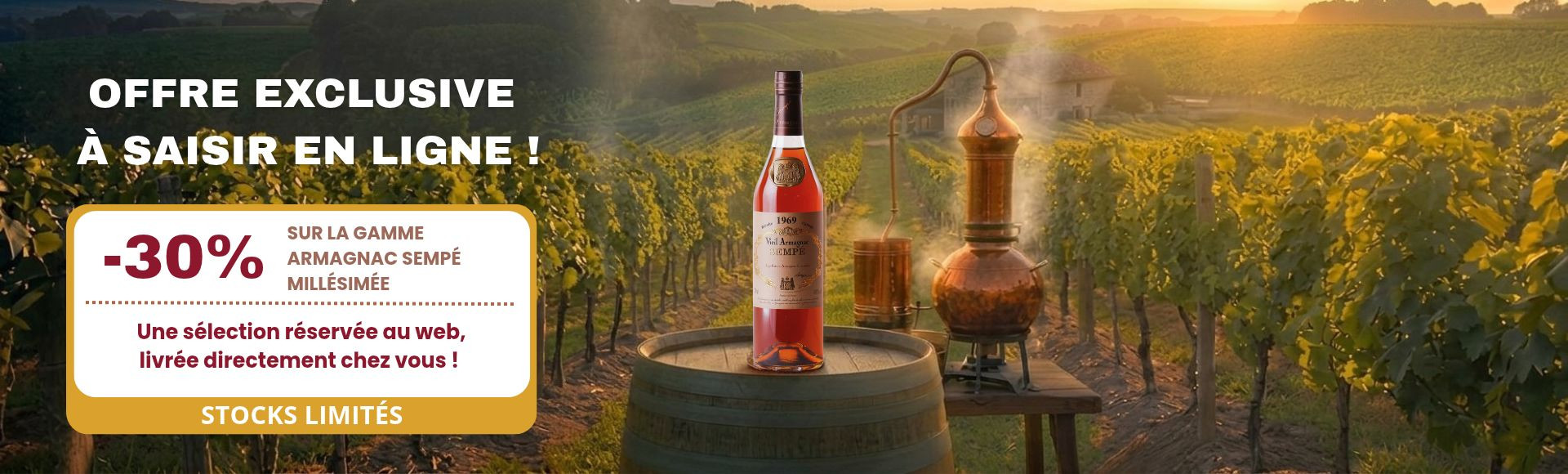 L'Excellence des Armagnacs Semp&eacute;